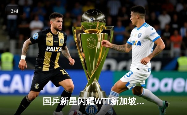 国乒新星闪耀WTT新加坡大满贯，王楚钦4-2力克樊振东首度加冕男单冠军 - 2